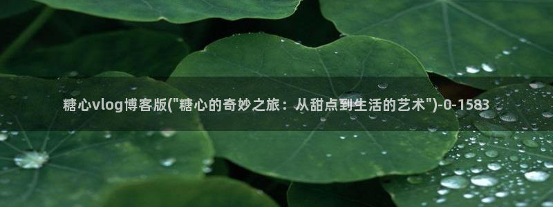 糖心vlog合集封面