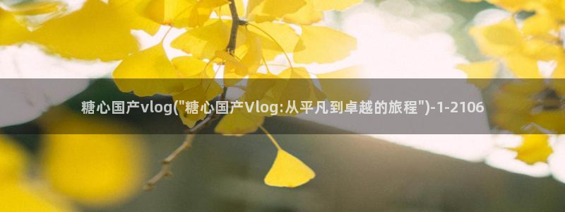 糖心vlog有哪些片