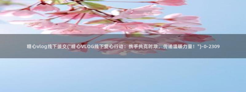 成人糖心vlog是什么