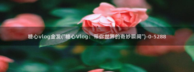 糖心麻豆玩偶vlog
