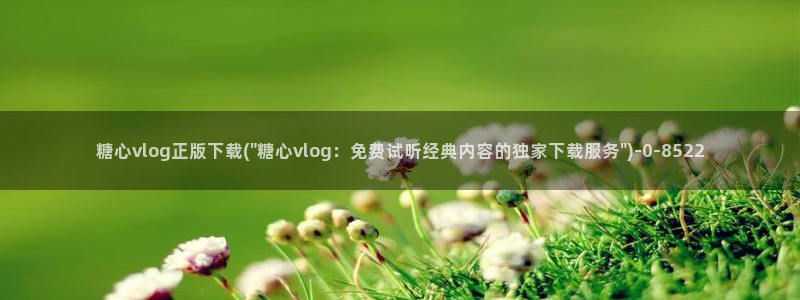糖心vlog小鹿