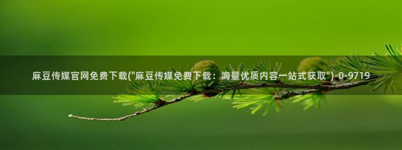 台湾麻豆传媒原创官网：麻豆传媒官网免费下载(\