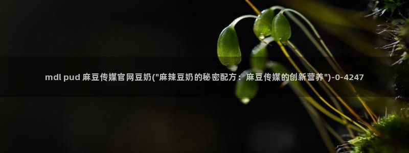 麻豆传媒官网怎么打开：mdl pud 麻豆传媒官网豆奶(\