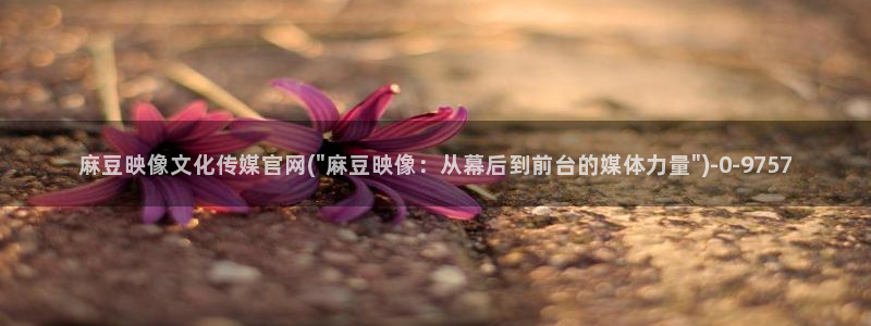 麻豆传媒官网app导航：麻豆映像文化传媒官网(\