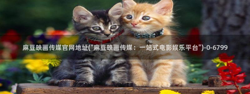 麻豆工作传媒官网：麻豆映画传媒官网地址(\