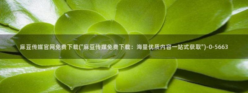 麻豆啊app传媒官网：麻豆传媒官网免费下载(\