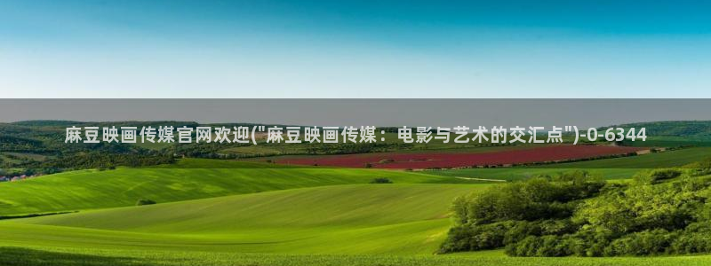 麻豆传媒官网huola：麻豆映画传媒官网欢迎(\