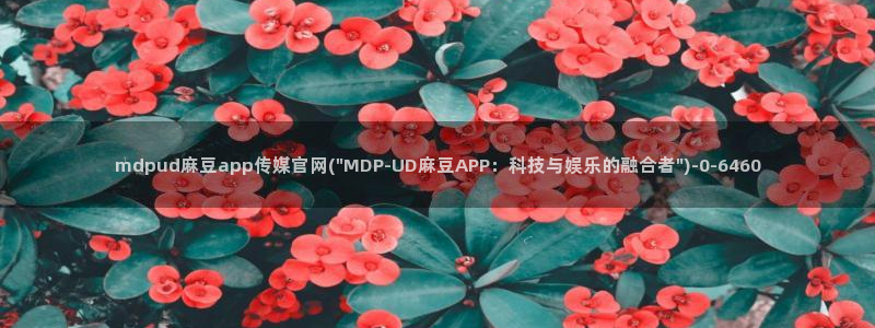 麻豆传媒官网 亚瑟：mdpud麻豆app传媒官网(\