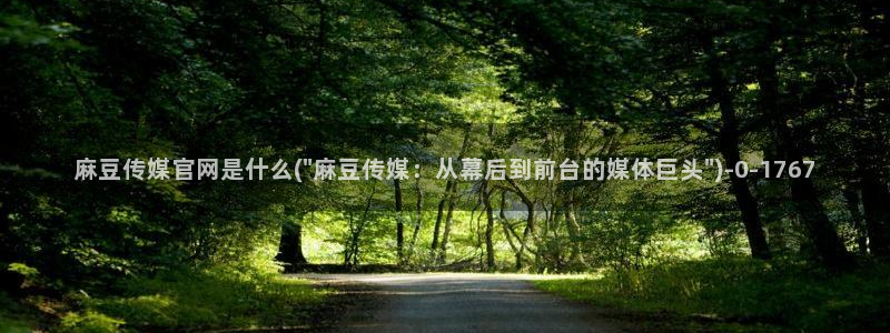 麻豆传媒台湾官网：麻豆传媒官网是什么(\