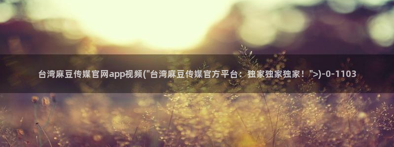 麻豆视传媒官网入口：台湾麻豆传媒官网app视频(\