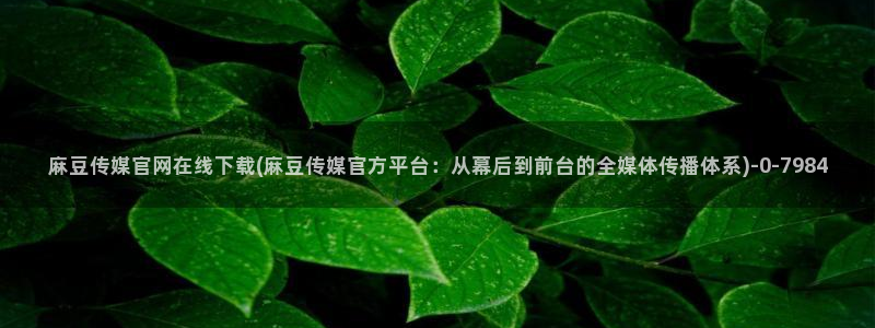 麻豆传媒印画官网：麻豆传媒官网在线下载(麻豆传媒官方平台：从幕后到前台的全媒体传播体系)