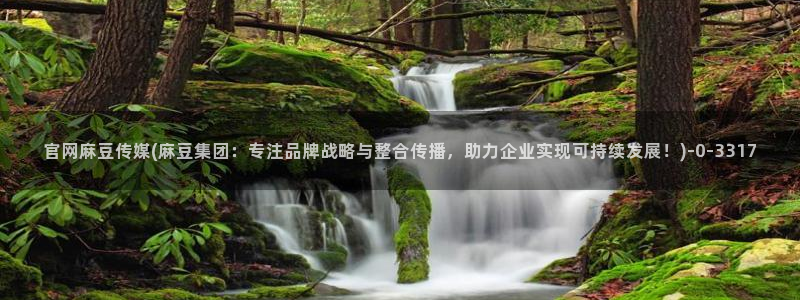 麻豆传媒官网软件：官网麻豆传媒(麻豆集团：专注品牌战略与整合传播，助力企业实现可持续发展！)