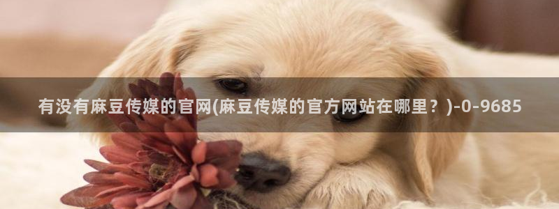 麻豆传媒官网幻：有没有麻豆传媒的官网(麻豆传媒的官方网站在哪里？)