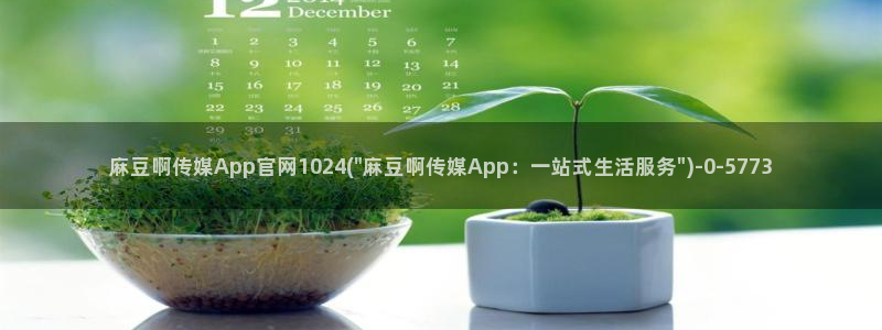 麻豆影视 传媒官网：麻豆啊传媒App官网1024(\