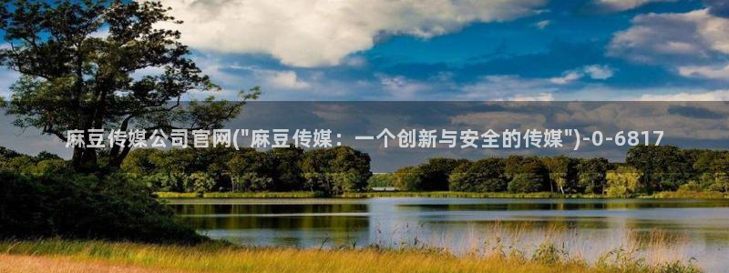 麻豆传媒a官网