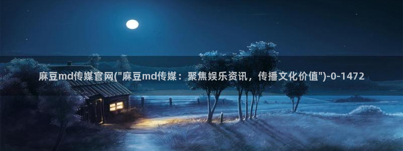麻豆传媒官网破解