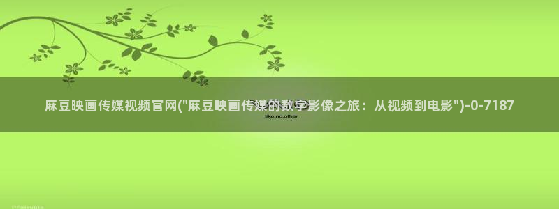 麻豆麻豆个传媒官网app黄