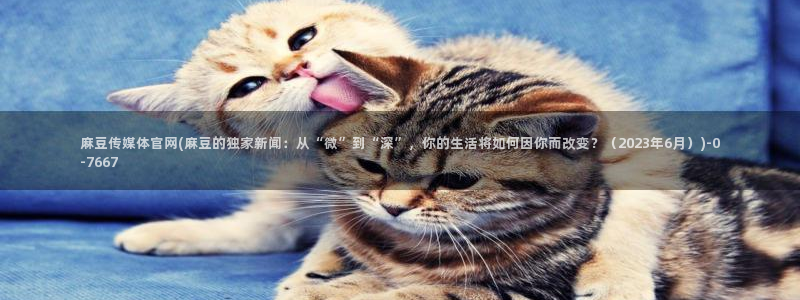麻豆传媒官网绿巨人