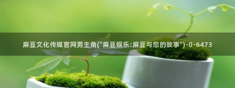 麻豆传媒官网影音先锋