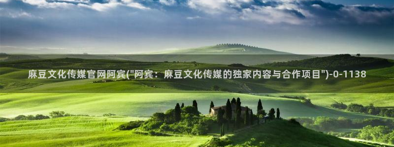 麻豆传媒官网地址：麻豆文化传媒官网阿宾(\