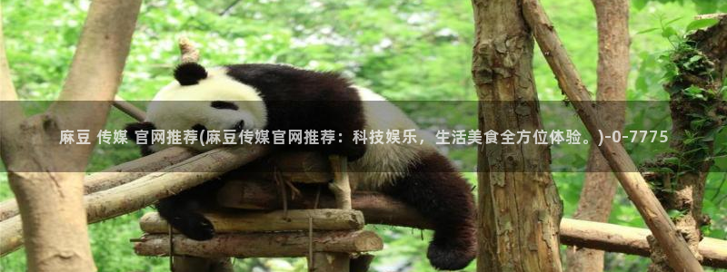 麻豆传媒官网red