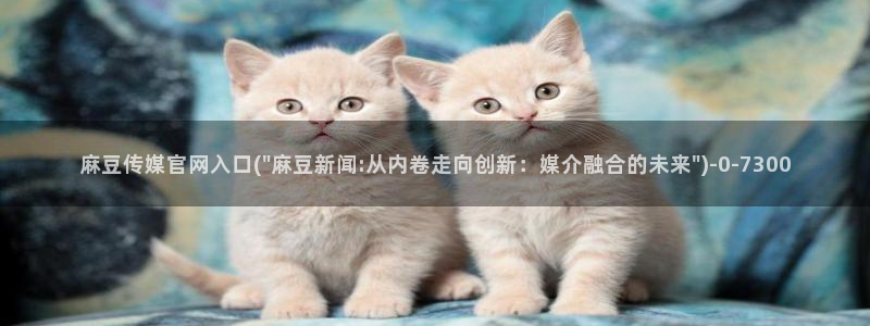 mdapp麻豆传媒官网：麻豆传媒官网入口(\