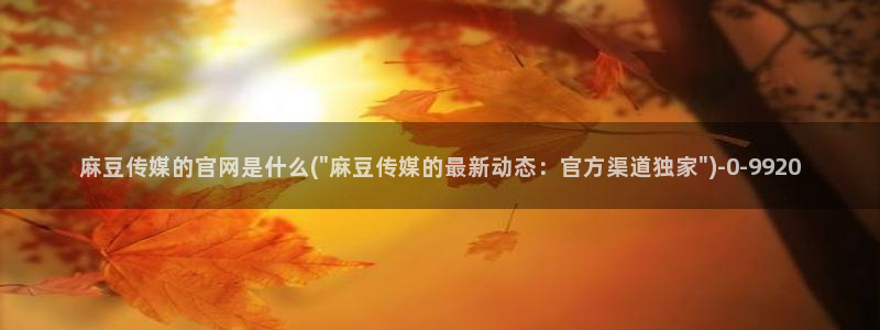 火辣麻豆传媒官网：麻豆传媒的官网是什么(\
