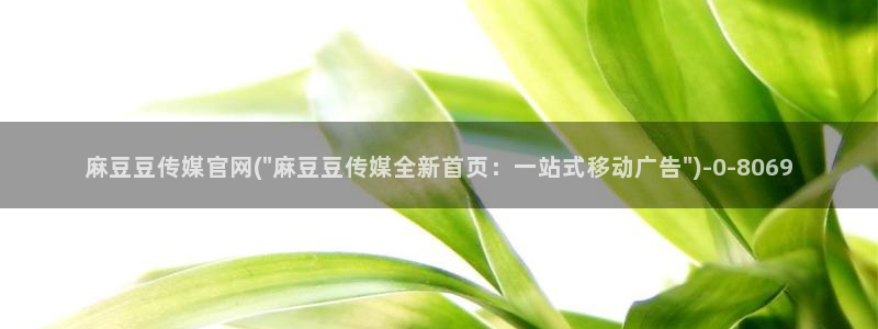 麻豆传媒官网明星：麻豆豆传媒官网(\